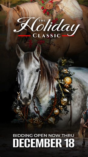 BID NOW at www.horsebid.com | HorseBid.com | Facebook