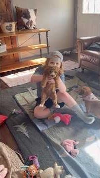 Austin Temperament Test (Lady & Louie Cavapoo 2026)