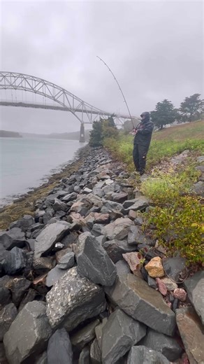 Fishing the cape cod canal