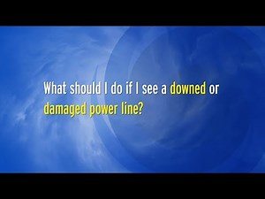 What should I do if I see a downed or damaged power line?