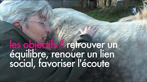 54K views · 72 reactions | L'Association Al'O Cheval ici la Terre pratique la médiation par le cheval. Le but est d'aider à communiquer des enfants ou des adultes qui souffrent de troubles comportementaux. Il ne s'agit pas de pratiquer l'équitation mais de trouver une forme de bien-être grâce à la relation homme-animal. | France 3 Bretagne | Facebook