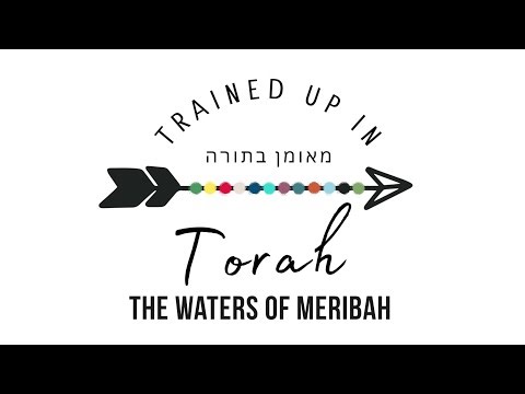Numbers 20 The Waters of Meribah- Sabbath School Lesson