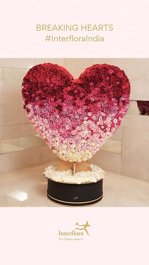 Interflora India on Instagram: "Coldplay tickets might be gone, but our fresh blooms are always here to FIX YOU🌻✨ #Interflora #InterfloraReels #LuxuryFlorists #FlowersInIndia #LuxuryFlowers #FlowersOnline #FloralReel #HandcraftedFlorals #FloralElegance #MoodInBloom #ColdplayConcert Interflora India | Florist | Luxury Flowers | Florist | Luxury Flowers | Online Flowers In India"