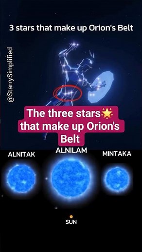 Orion's Belt: See How These Giant Stars Compare to Our Sun! 🌟🔥 #orionsbelt #stars #astronomy #space