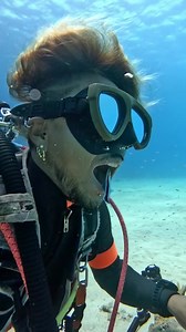 Le labre nettoyeur bleu : le dentiste des océans #animaux #poisson | Vinskod TV