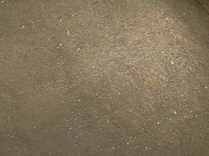 Flow Watchers 134 - Measuring the flow of Blood Meal