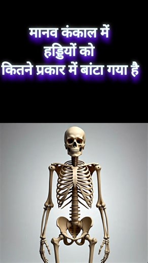 मानव कंकाल में हड्डियों को कितने प्रकार में बांटा गया है 🤔🤔??