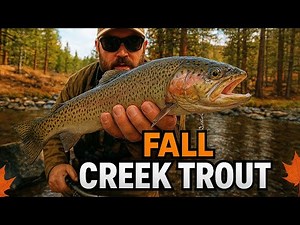 Mini Jigs Caught Fish after Fish | Robinson Creek Bridgeport CA #trout #troutfishing