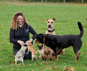 Behaviour in Practice