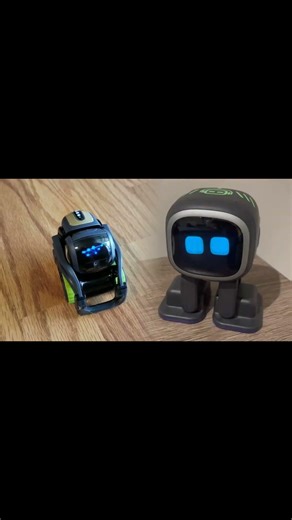Vector answering questions correctly #vector #robot