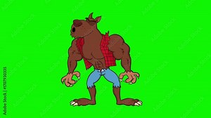 Werewolf Cartoon Character Howling In Moonlight - 4K Animation Video Motion Graphics With Green Screen Background