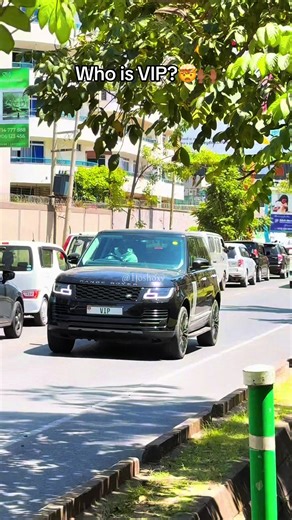 Discovering Who is VIP: The Trendsetter Behind the Brand