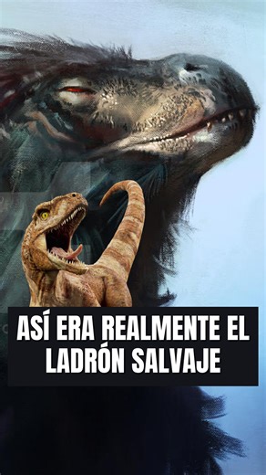 Curiosidad Prehistórica | Así era realmente el ladrón salvaje #divulgacioncientifica #paleontologia #dinosaurios #raptors #atrociraptor #prehistoricplanet | Instagram