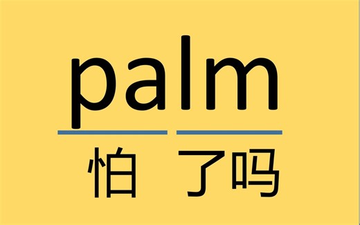 常见单词：palm