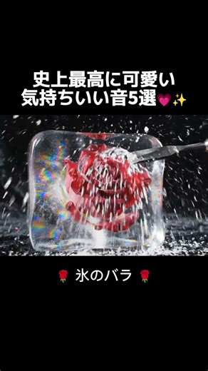 【ASMR】史上最高に可愛い気持ちいい音5選💗✨ #asmr