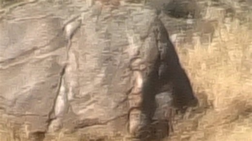 22K views · 413 reactions | Today- zooming on The Alien Rock #alienrock | Colorado Bigfoot | Facebook