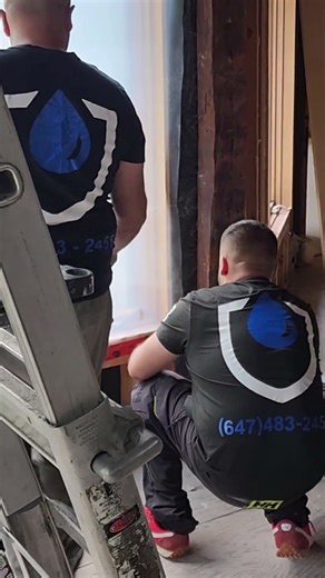 Experts In Mold Remediation | DGI Waterproofing #moldremediation