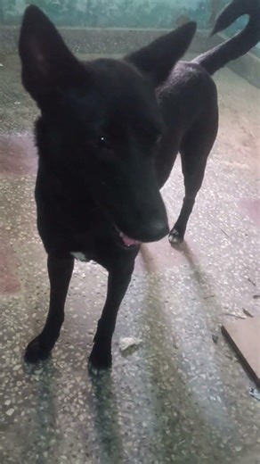 Handshake mission Failed