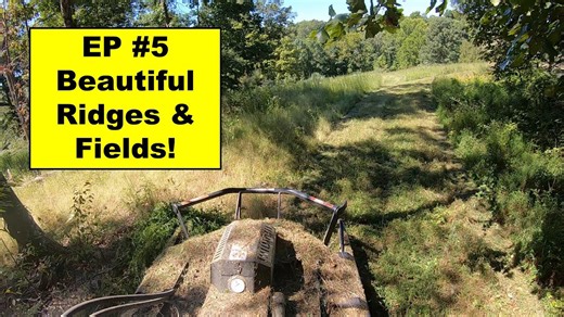 Clearing Trails and Food Plots on the Southern Illinois Property (Earlier Project Highlights)
