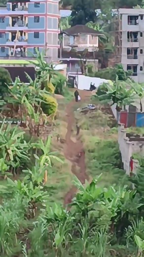 Trying to zoom using Infinix hot 60 pro plus