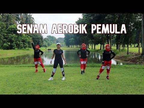 Senam Aerobik Pemula Mudah Diikuti | Aerobic Exercise For Beginner, Easy To Learn