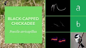 Best Science Videos for Kids and YouTube Channels