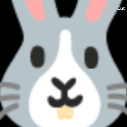 Bonnie fighting back