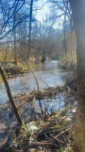 Exploring our land and overwhelmed with gratitude. Gods vision was so much greater than ours. I am excited for this next chapter. My word for the year is surrender. I entered 1026 with my hands open and my heart postured toward my God for direction and purpose. It is more challenging than I expected as I wrestle with my humanness and need to control, but when I do walk with him in obedience and tune into his frequency I am blown away at how he answers. Anxiety and fear can not prevail in a grate