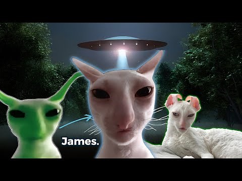 James the cat full story (Alien Cat)