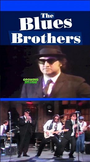 😎😎 The Blues Brothers: John Belushi & Dan Aykroyd #johnbelushi #danaykroyd #snl #thebluesbrothers
