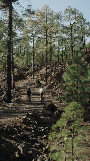 1.9K views · 12 reactions | Chase adventure. Brake effortlessly. Rival XPLR AXS’ one-finger braking keeps you dialed on any terrain, with smooth power that won’t wear you down. No matter how far you ride, you’ll brake with confidence and finish strong. Learn more: https://bit.ly/3G5YESr #RivalAXS #XPLR  El Flamingo Films | SRAM road | Facebook