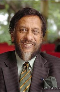 POP Festival - The POP Movement