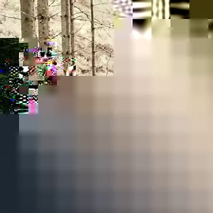 116 reactions · 24 shares | Book your place on the Fforest Coaster in 2021. The UK's only alpine coaster, you'll speed down our forest track, with 3 goes per ticket! | Zip World | Facebook