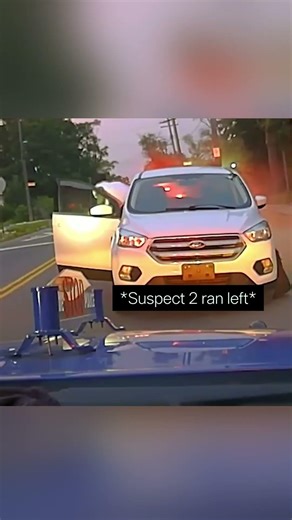 Michigan Police Witness Drive by During Traffic Stop😳