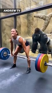 Monkey shows its true strength | Andrew Lincoln TV