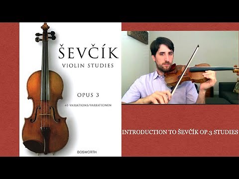 Sevcik op.3 40 variations for violin - bow technique Intro