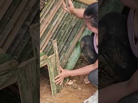 Level the ground and build a bamboo rabbit cage combined with a bamboo floor#blogger#farmlife