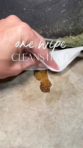 One wipe cleans it all