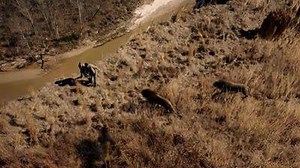 837K views · 4.9K reactions | From international best-selling author James Patterson, Zoo premieres CBS tonight 9/8c! | Zoo | Facebook