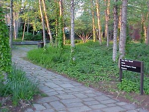 Get On the Path to a Great Garden