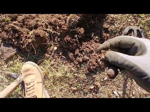 A Short Hunt With The Simplex Ultra