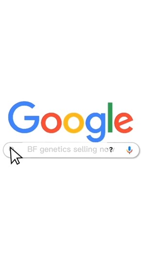 The Smart Auction at the Congress Closes Race Horse Style January 8th at 5:00pm CT Text SMARTAUCTION to 76278 | Burns Farms