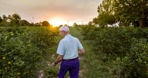 A 90 second Behind the Scenes look at FreshPoint