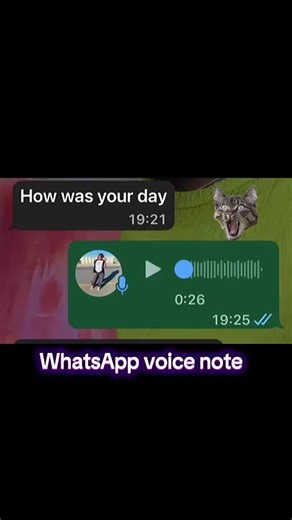 Inimba Episodes and WhatsApp Voice Notes Updates