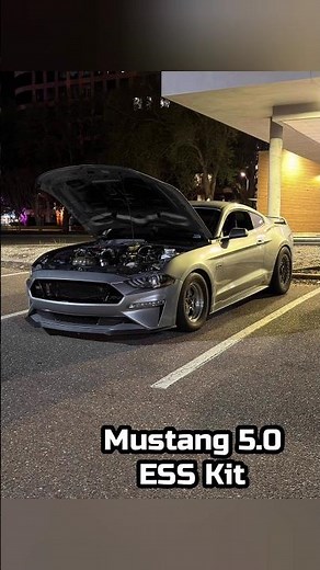 Ford Mustang 5.0 VS Infiniti Q50 - $1,000 Race! #cars #mustang #infiniti #q50 #vr30 #ford #racing
