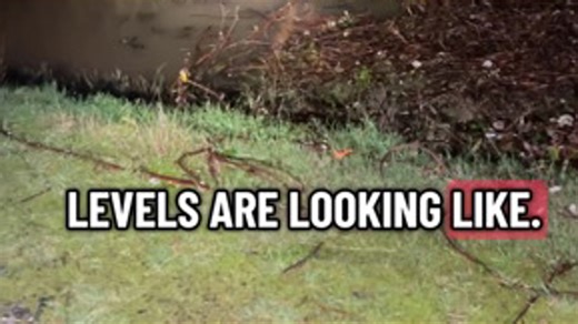 Levee breach threat temporarily resolved along Green River in Tukwila