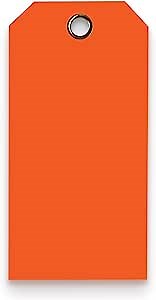 Tags 4 Less 15 Mil Waterproof Plastic Tags, Pack of 100 – 2” x 4” Heavy Duty Plastic Tags for Labeling, Outdoor Tagging, Equipment Labeling, Luggage, Valves & More (Orange)