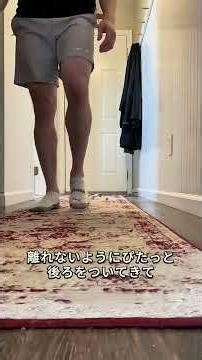 ヒメウズラ、ペットボトルのキャップより小さな鳥。