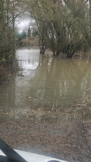 Amazon flex want me to go there😂😂😂#trending#youtubeshorts