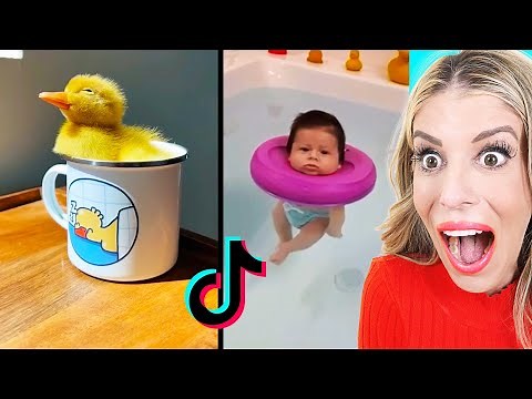 Try Not to Say Aw Impossible